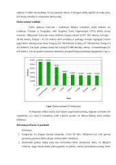 Darbo našumas Lietuvos ir Europos Sąjungos (ES) įmonėse. Skirtumų priežastys ir pasekmės 4 puslapis