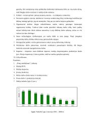 Darbo našumas Lietuvos ir Europos Sąjungos (ES) įmonėse. Skirtumų priežastys ir pasekmės 5 puslapis
