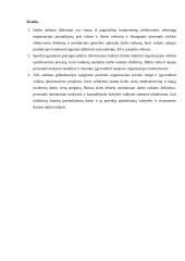 Darbo našumas Lietuvos ir Europos Sąjungos (ES) įmonėse. Skirtumų priežastys ir pasekmės 8 puslapis