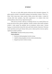 Darbo procesų valdymo vertinimas 2 puslapis