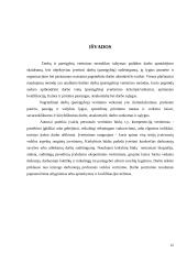 Darbo procesų valdymo vertinimas 12 puslapis