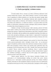 Darbo procesų valdymo vertinimas 3 puslapis