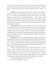 Darbo procesų valdymo vertinimas 7 puslapis