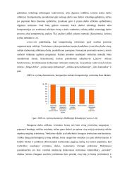 Darbo procesų valdymo vertinimas 9 puslapis