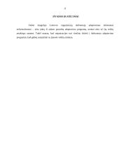 Darbo samdos įteisinimas 11 puslapis