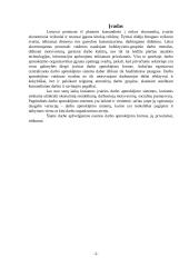 Esminės darbo užmokesčio formos 2 puslapis
