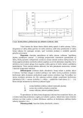 Esminės darbo užmokesčio formos 6 puslapis