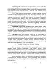 Esminės darbo užmokesčio formos 7 puslapis