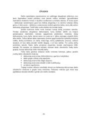 Esminės darbo užmokesčio formos 10 puslapis