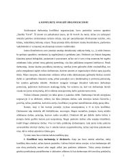 Darbuotojų konfliktų valdymas 7 puslapis
