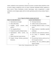 Derybos. Gero derybininko aspektai 4 puslapis