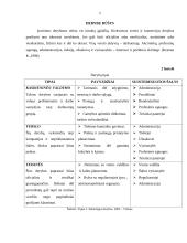 Derybos. Gero derybininko aspektai 5 puslapis