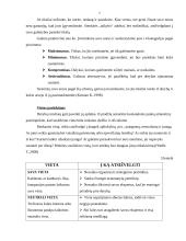 Derybos. Gero derybininko aspektai 7 puslapis