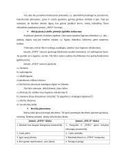 Derybų analizė: automobilių pirkimas 3 puslapis