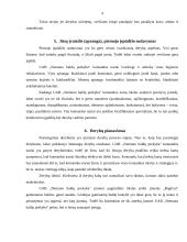 Derybų analizė: baldų pirkimas 4 puslapis