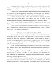 Derybų analizė: baldų pirkimas 6 puslapis