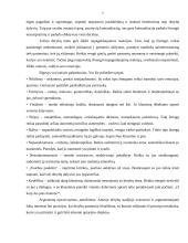 Derybų analizė: baldų pirkimas 7 puslapis