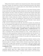 Didieji geografijos atradimai 3 puslapis