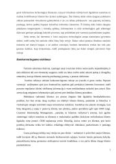 E-turizmo ypatumai ir svarba 7 puslapis