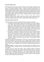 Ekonominio augimo esmė. Augimo veiksniai 3 puslapis