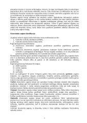 Ekonominio augimo esmė. Augimo veiksniai 6 puslapis