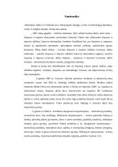 Eksporto ir importo ekonominis įvertinimas Lietuvoje 2 puslapis