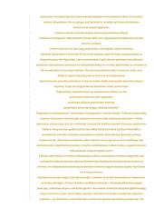 Eksporto ir importo ekonominis įvertinimas Lietuvoje 17 puslapis