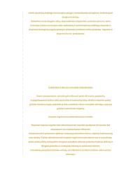 Eksporto ir importo ekonominis įvertinimas Lietuvoje 18 puslapis