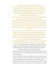 Eksporto ir importo ekonominis įvertinimas Lietuvoje 19 puslapis