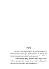 Eksporto ir importo ekonominis įvertinimas Lietuvoje 3 puslapis