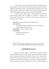 Eksporto ir importo ekonominis įvertinimas Lietuvoje 4 puslapis