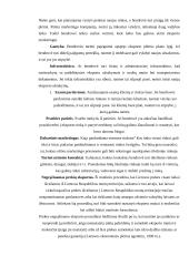 Eksporto ir importo ekonominis įvertinimas Lietuvoje 7 puslapis