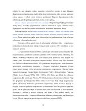 Eksporto subsidijų įtaka įmonės eksporto vystymui 11 puslapis