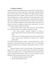 Eksporto subsidijų įtaka įmonės eksporto vystymui 12 puslapis