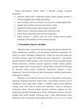 Eksporto subsidijų įtaka įmonės eksporto vystymui 10 puslapis