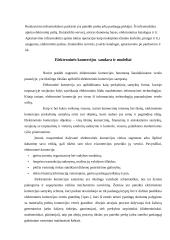 Elektroninės veiklos sandara ir modeliai 6 puslapis
