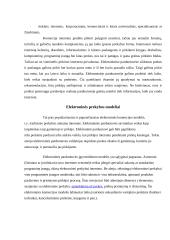 Elektroninės veiklos sandara ir modeliai 8 puslapis