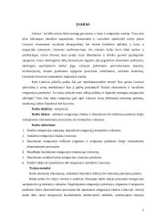 Emigracija: samprata ir tendencijos 2 puslapis