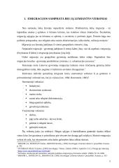 Emigracija: samprata ir tendencijos 4 puslapis