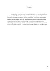 Etika, dorovė ir moralė 12 puslapis