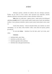 Etikos kilmė 3 puslapis