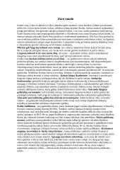 Euras Lietuvoje 6 puslapis