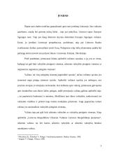 Euro įvedimas. Galimybės ir grėsmės