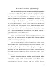 Euro įvedimas. Galimybės ir grėsmės 2 puslapis