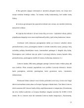 Euro įvedimas. Galimybės ir grėsmės 11 puslapis