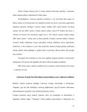 Euro įvedimas. Galimybės ir grėsmės 13 puslapis