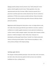 Euro įvedimas. Galimybės ir grėsmės 15 puslapis