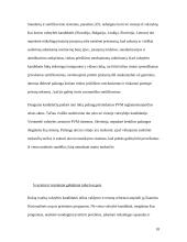 Euro įvedimas. Galimybės ir grėsmės 16 puslapis