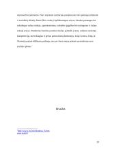 Euro įvedimas. Galimybės ir grėsmės 18 puslapis