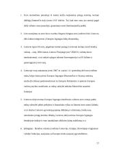 Euro įvedimas. Galimybės ir grėsmės 19 puslapis